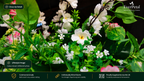 Large Outdoor Artificial Hanging Basket | White & Fuchsia